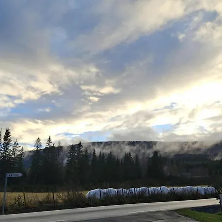 مكان تخييم Ringen